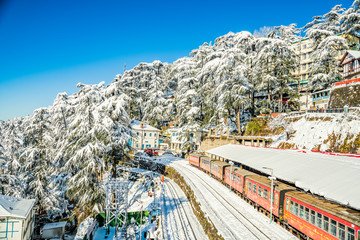 4 Days Shimla, Mashobra & Naldehra Tour